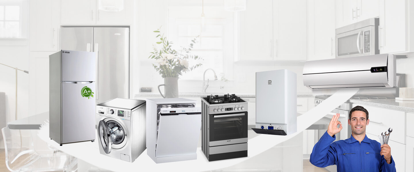 Şebinkarahisar Electrolux Servisi